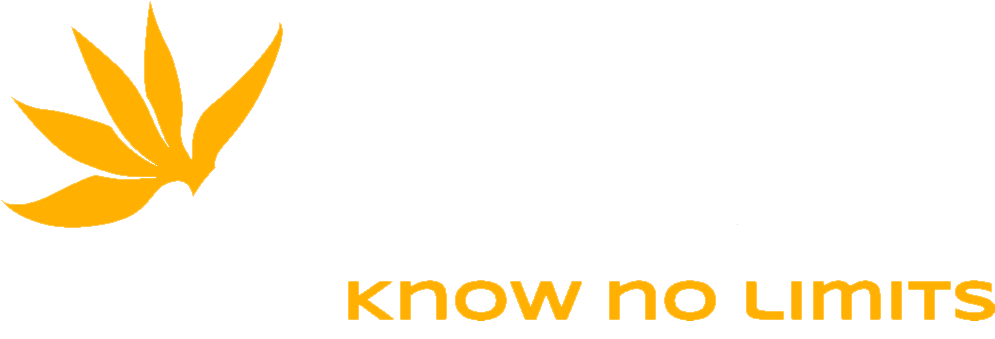 Gipsyy logo